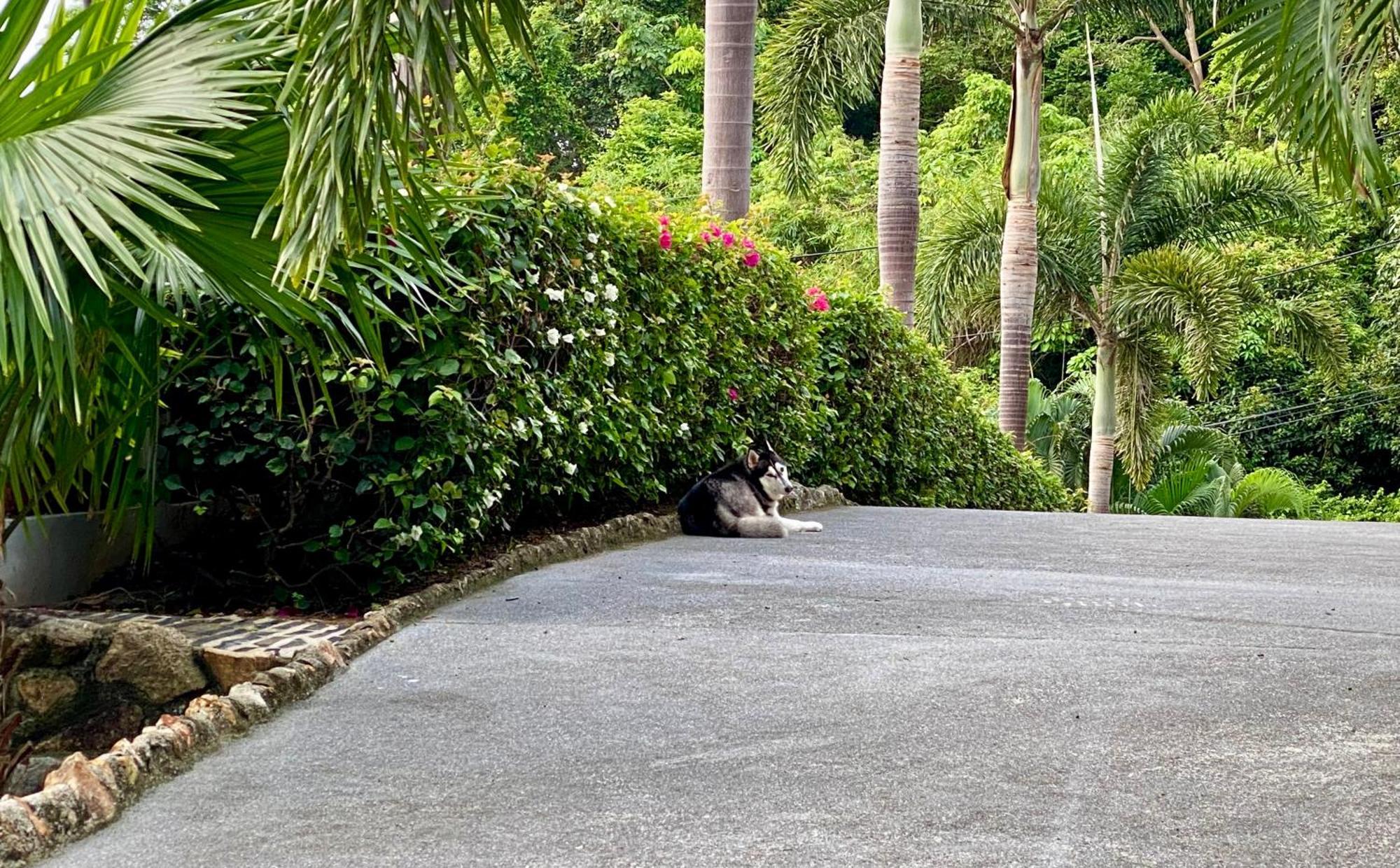 Ko Samui Seaview Pool Villa Seren With Car Лаем-Сет-Бич Экстерьер фото